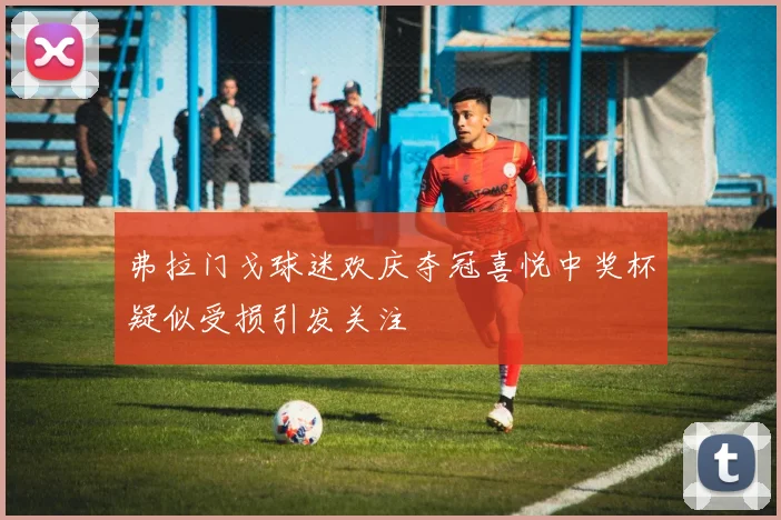 弗拉门戈球迷欢庆夺冠喜悦中奖杯疑似受损引发关注