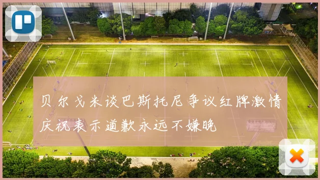 贝尔戈米谈巴斯托尼争议红牌激情庆祝表示道歉永远不嫌晚